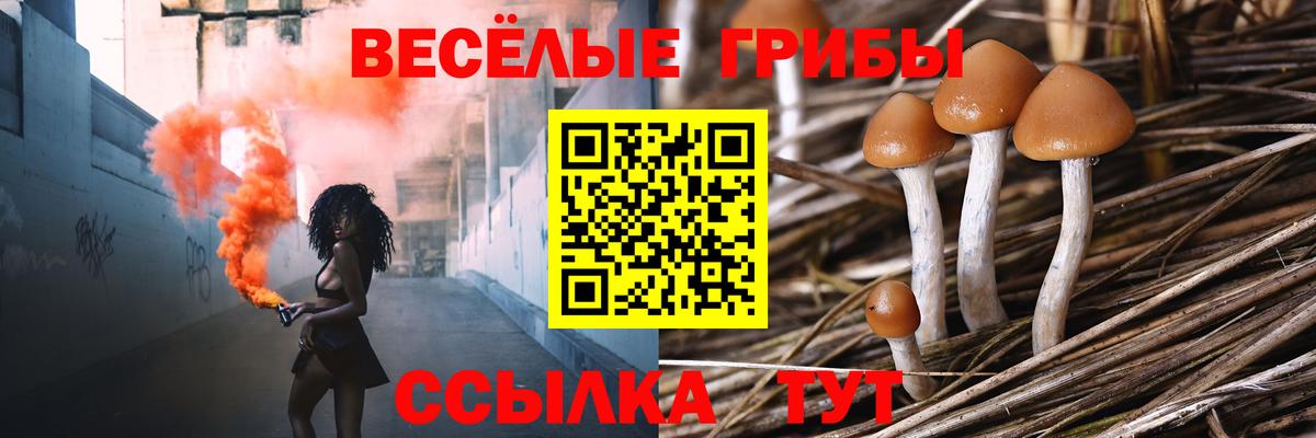 Саров  Галлюциногенные грибы Psilocybine cubensis  купить закладку  Вход с VPN 